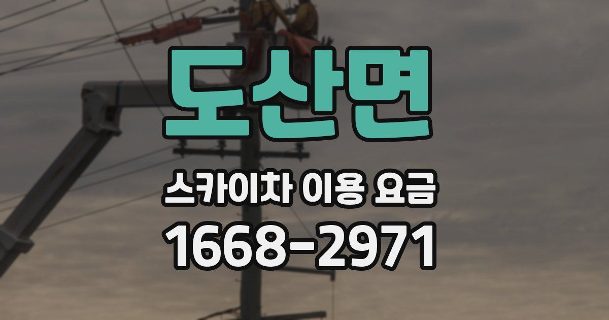 도산면 스카이차 이용 요금