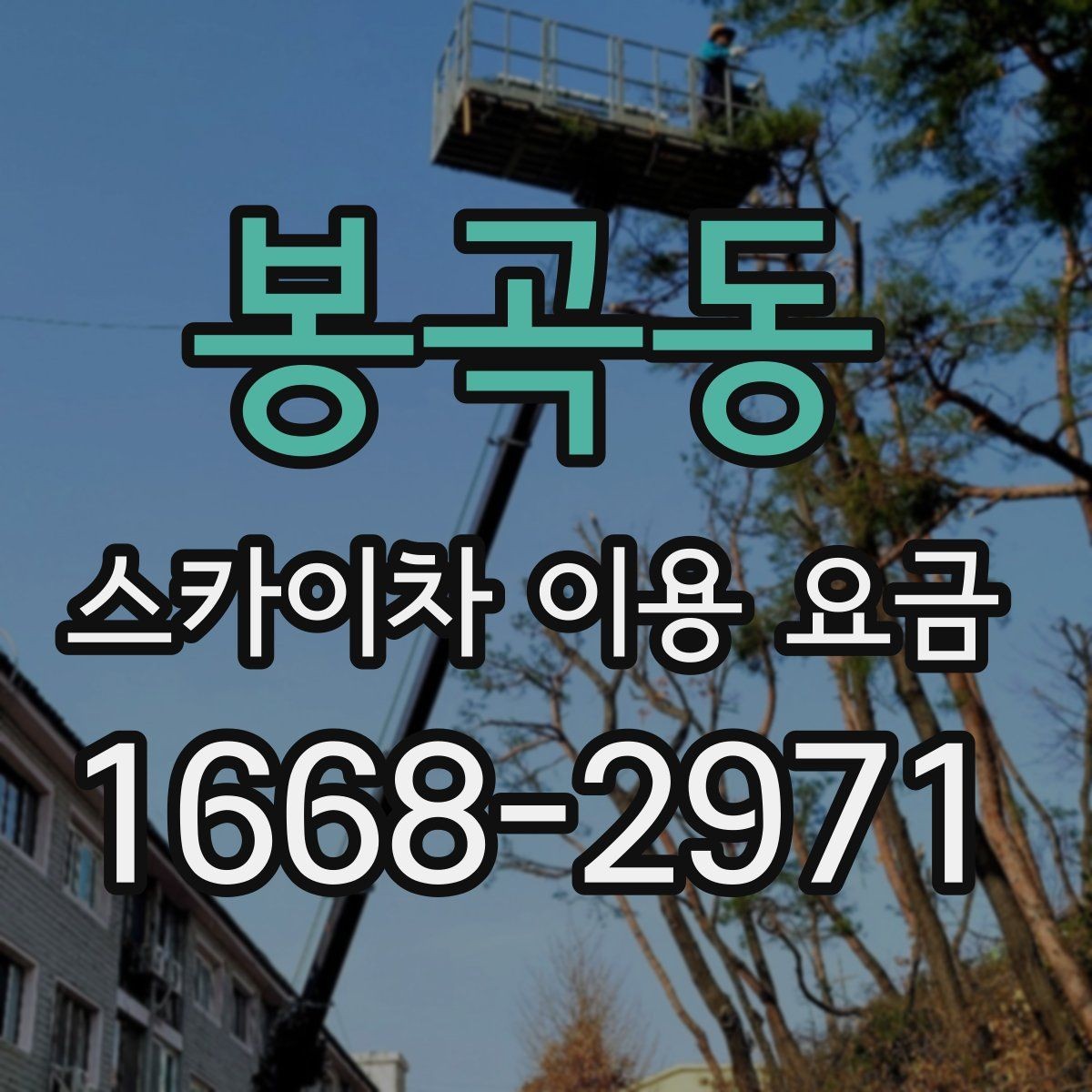 봉곡동 스카이차 이용 요금 선택 전에 확인할 안전 기준