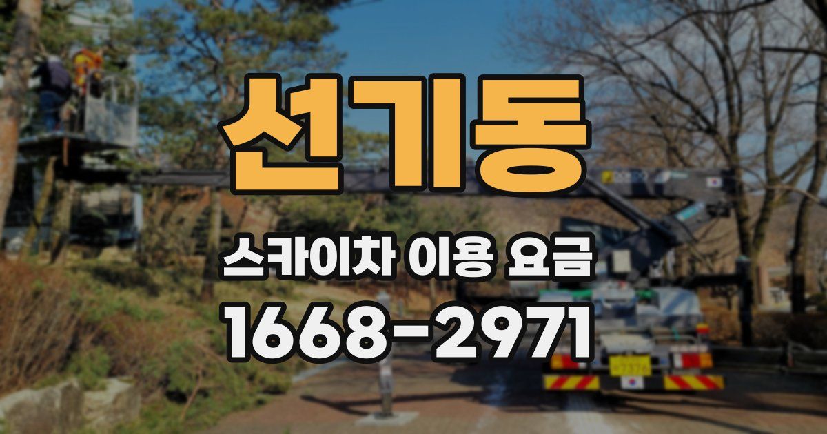 선기동 스카이차 이용 요금