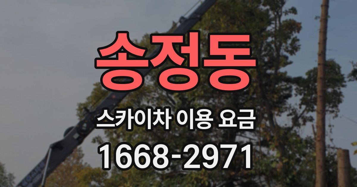송정동 스카이차 이용 요금