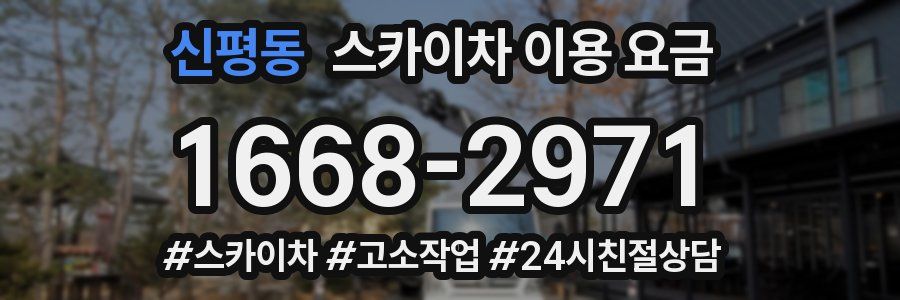 신평동 스카이차 이용 요금