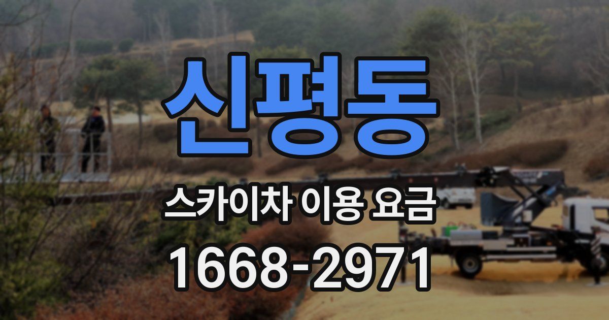 신평동 스카이차 이용 요금