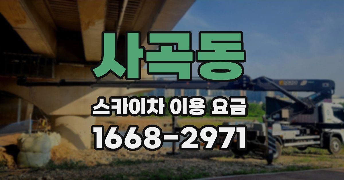 사곡동 스카이차 이용 요금