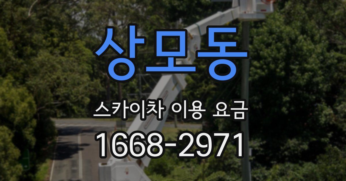 상모동 스카이차 이용 요금