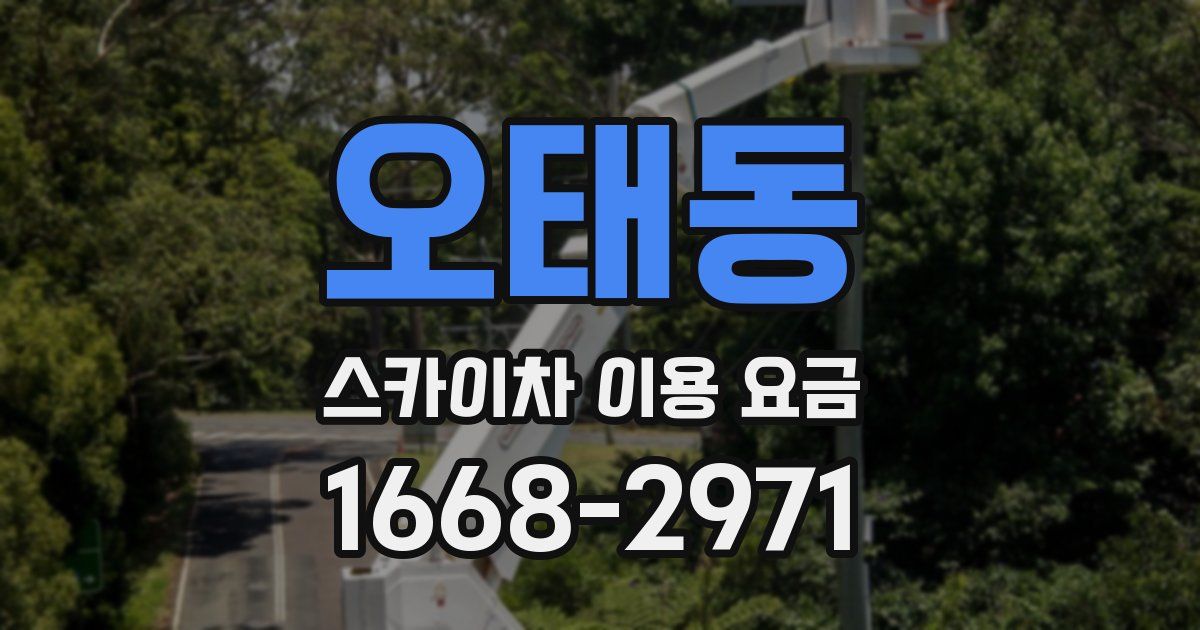 오태동 스카이차 이용 요금