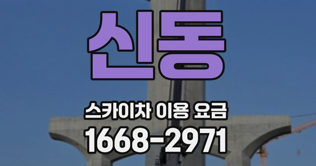 신동 스카이차 이용 요금