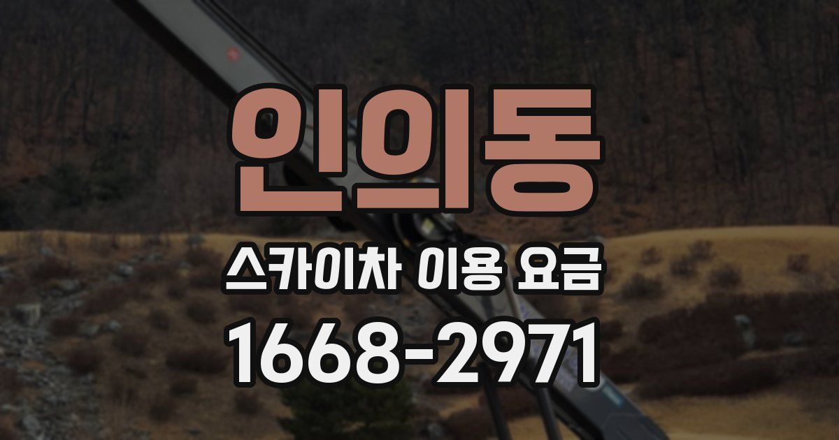 인의동 스카이차 이용 요금