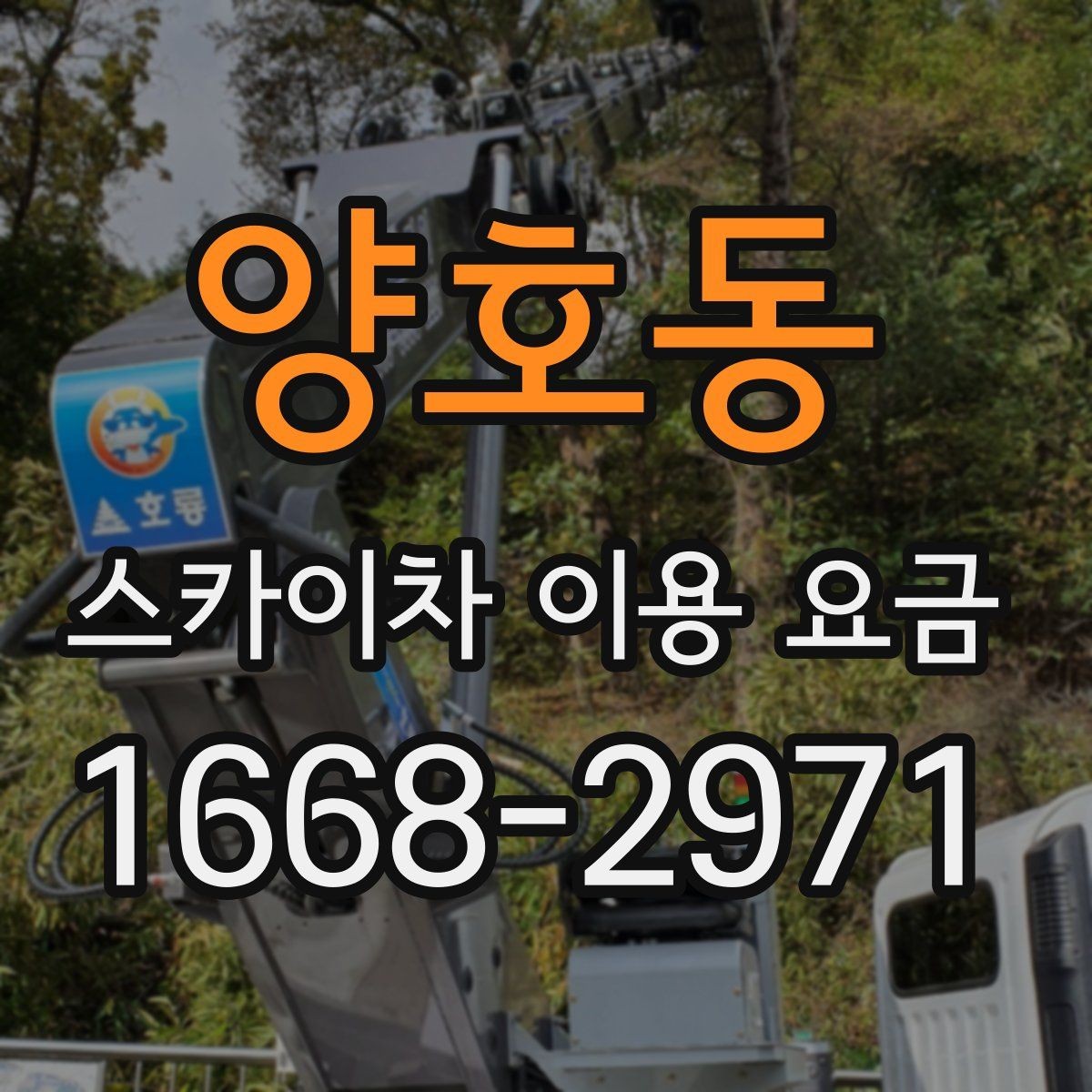 양호동 스카이차 이용 요금 책정 기준을 쉽게 정리