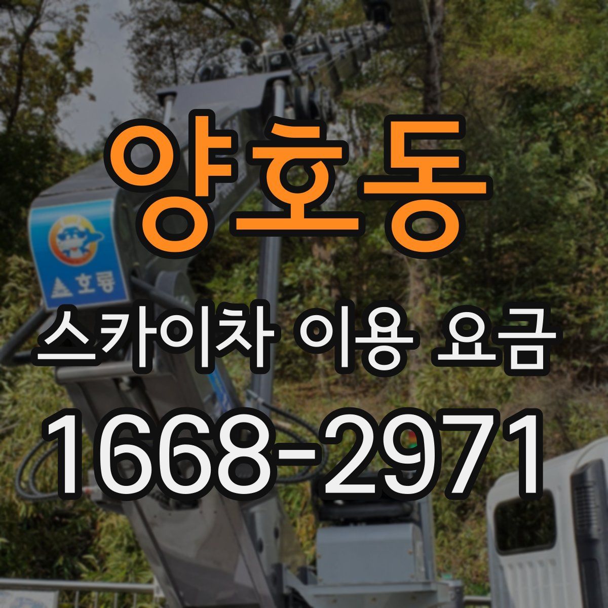 양호동 스카이차 이용 요금