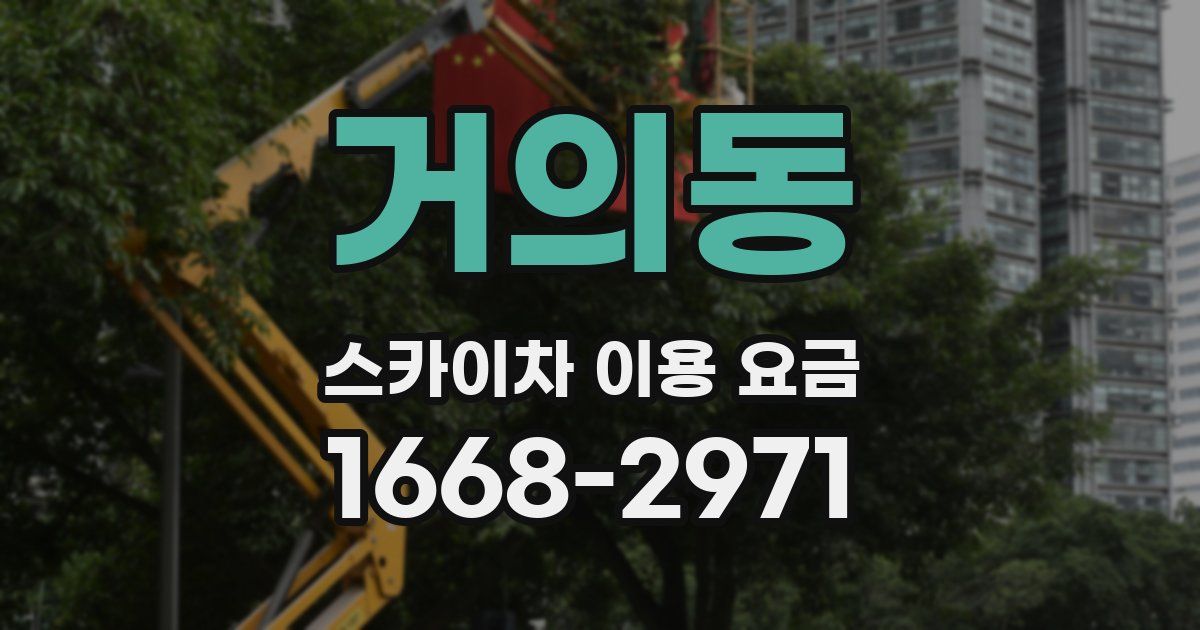 거의동 스카이차 이용 요금
