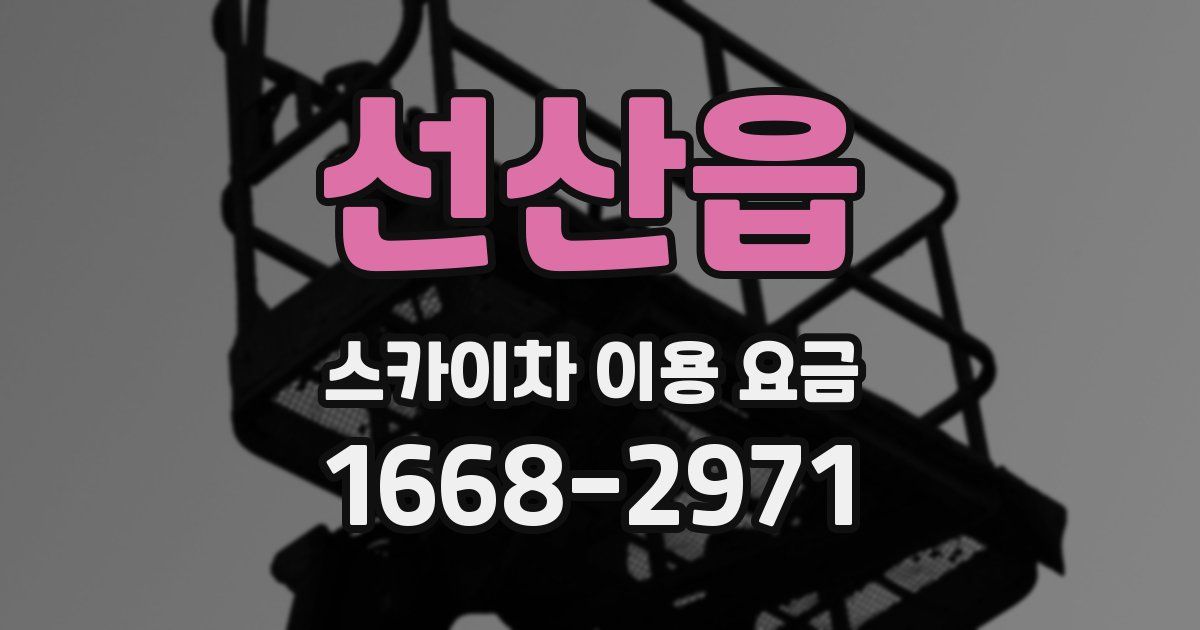 선산읍 스카이차 이용 요금