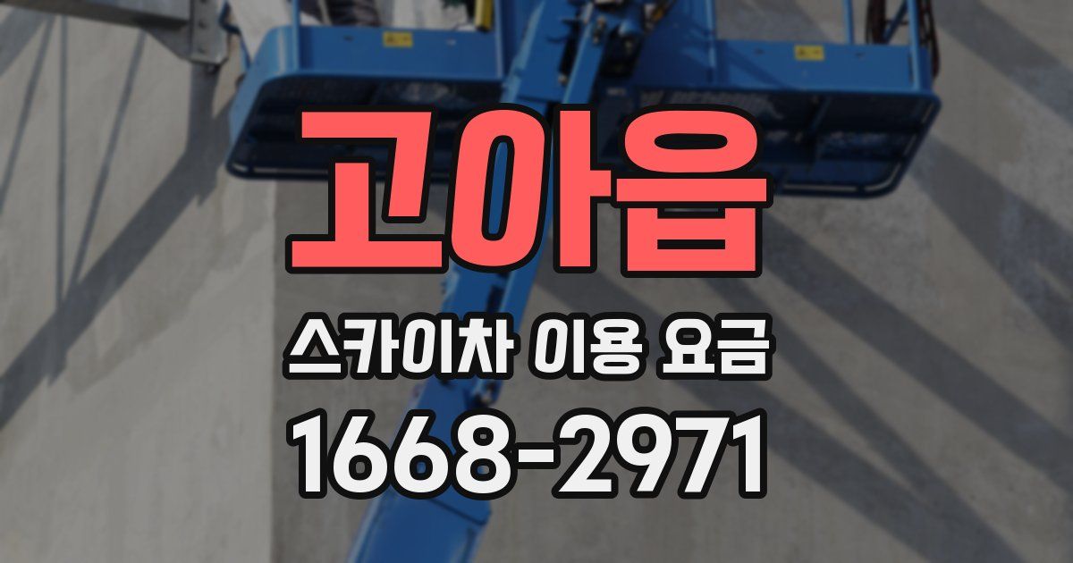 고아읍 스카이차 이용 요금