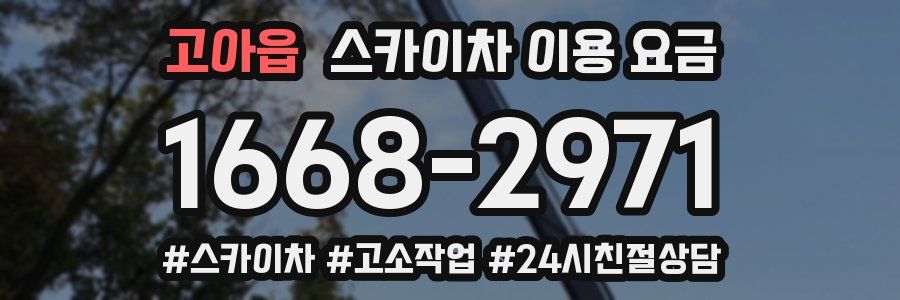 고아읍 스카이차 이용 요금