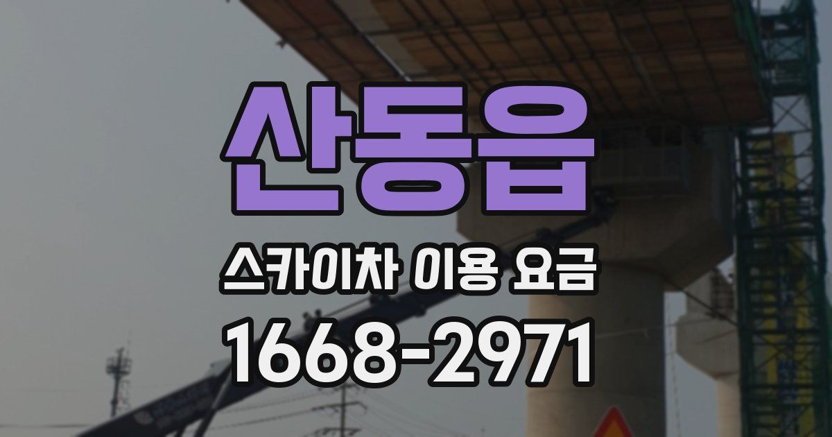 산동읍 스카이차 이용 요금