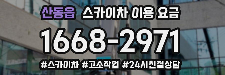 산동읍 스카이차 이용 요금