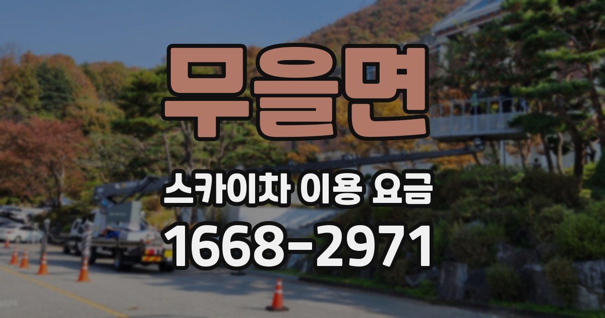 무을면 스카이차 이용 요금