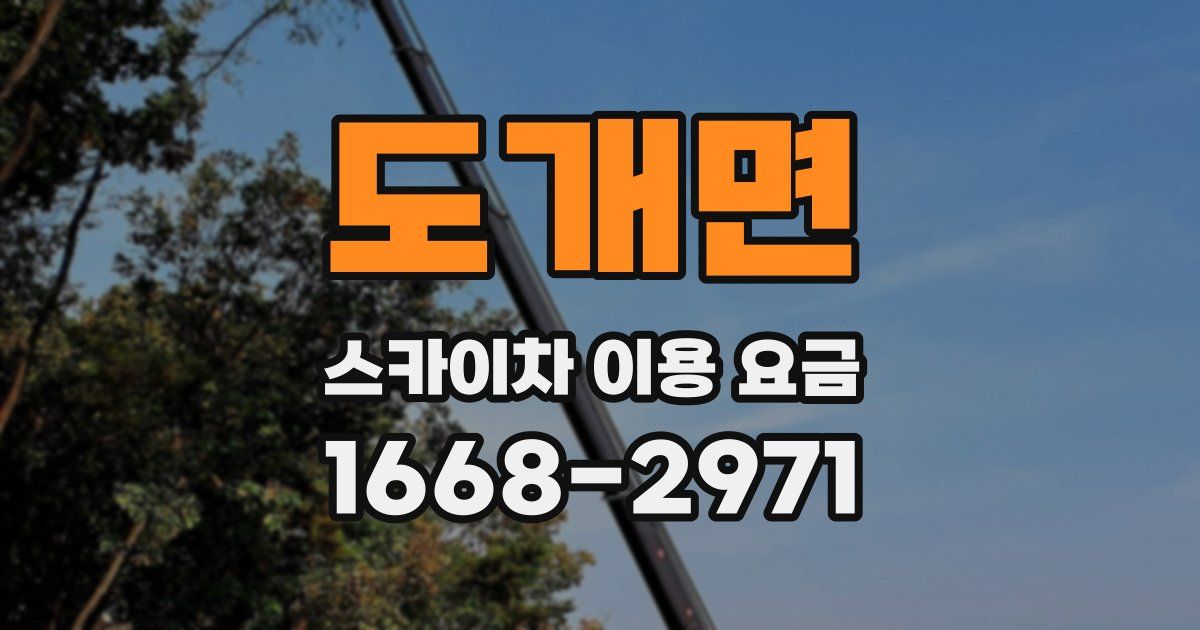 도개면 스카이차 이용 요금