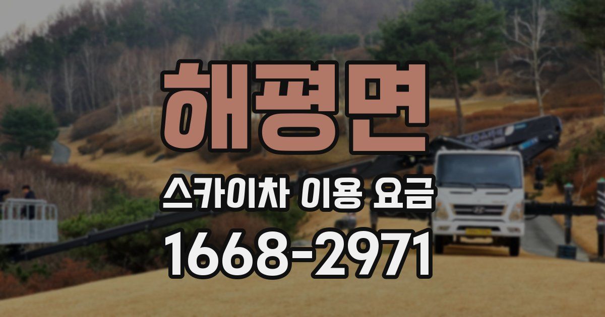 해평면 스카이차 이용 요금