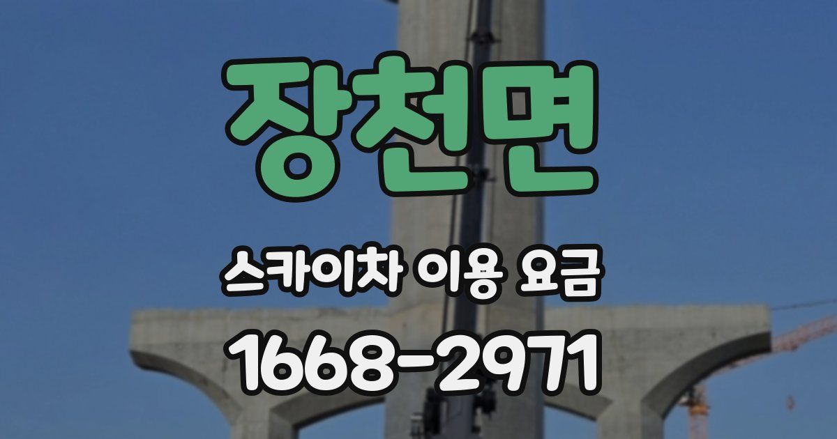 장천면 스카이차 이용 요금
