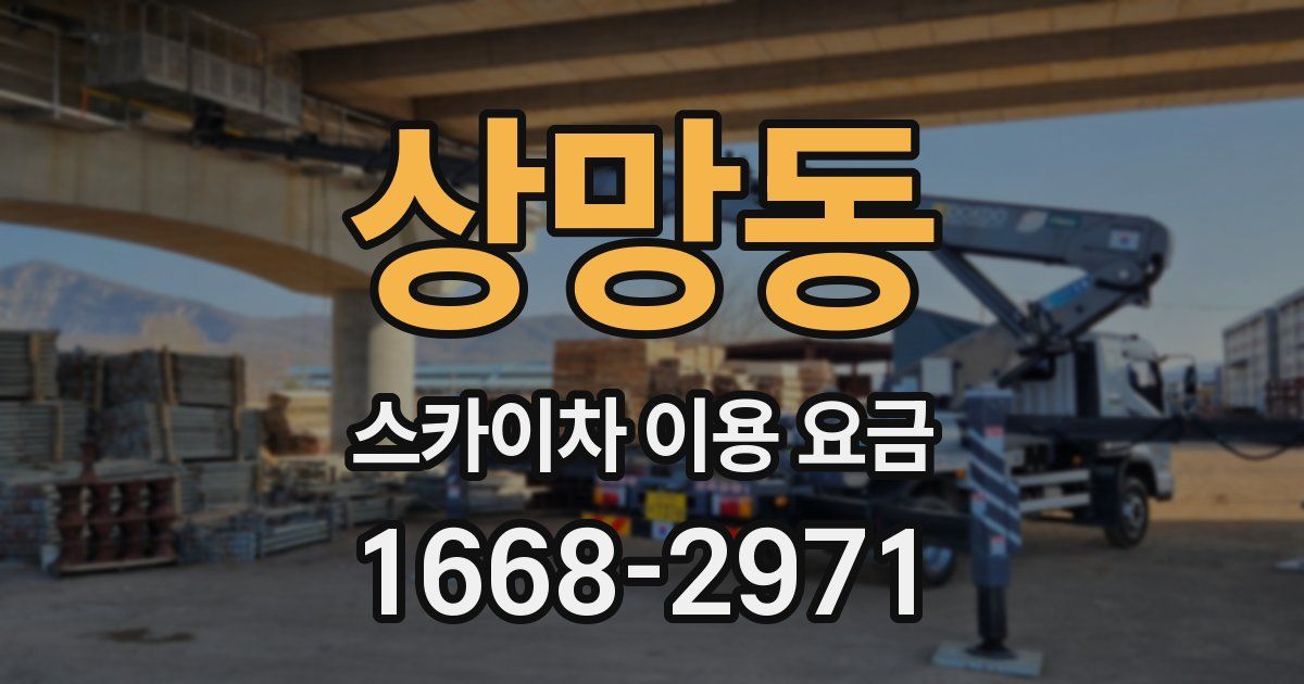 상망동 스카이차 이용 요금