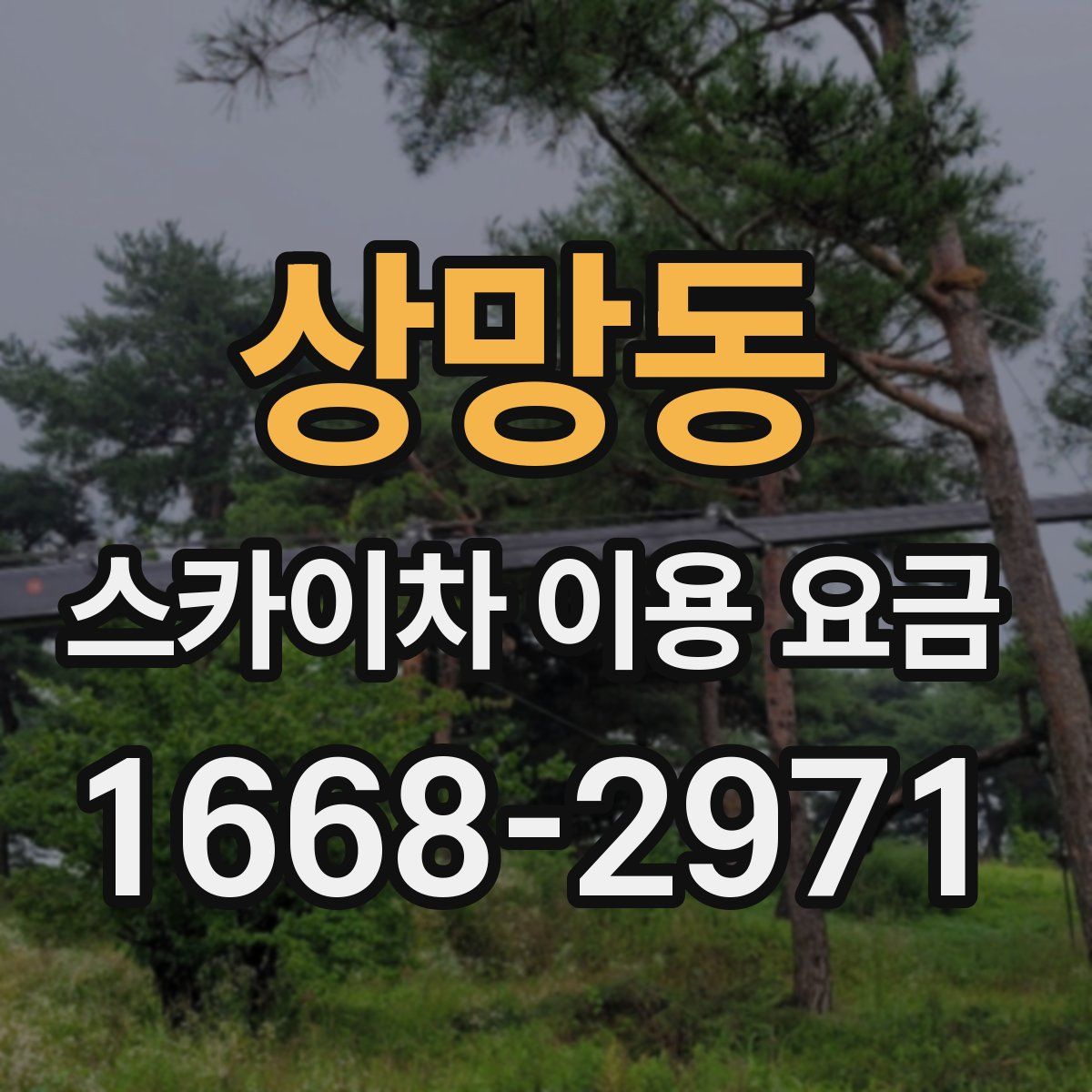 상망동 스카이차 이용 요금