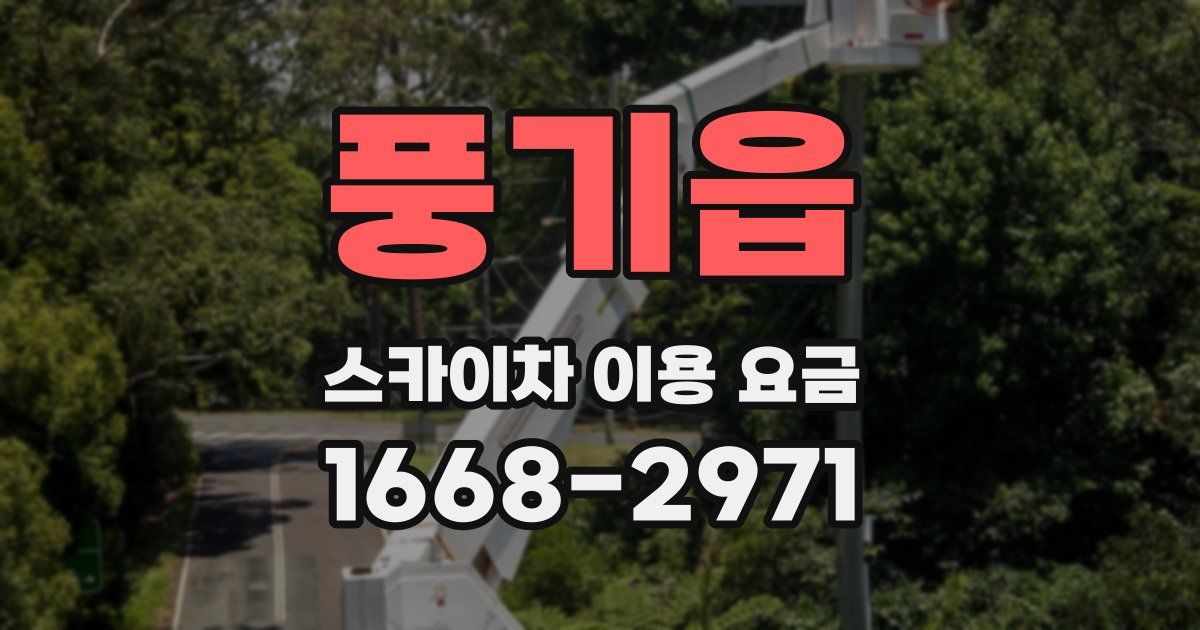 풍기읍 스카이차 이용 요금