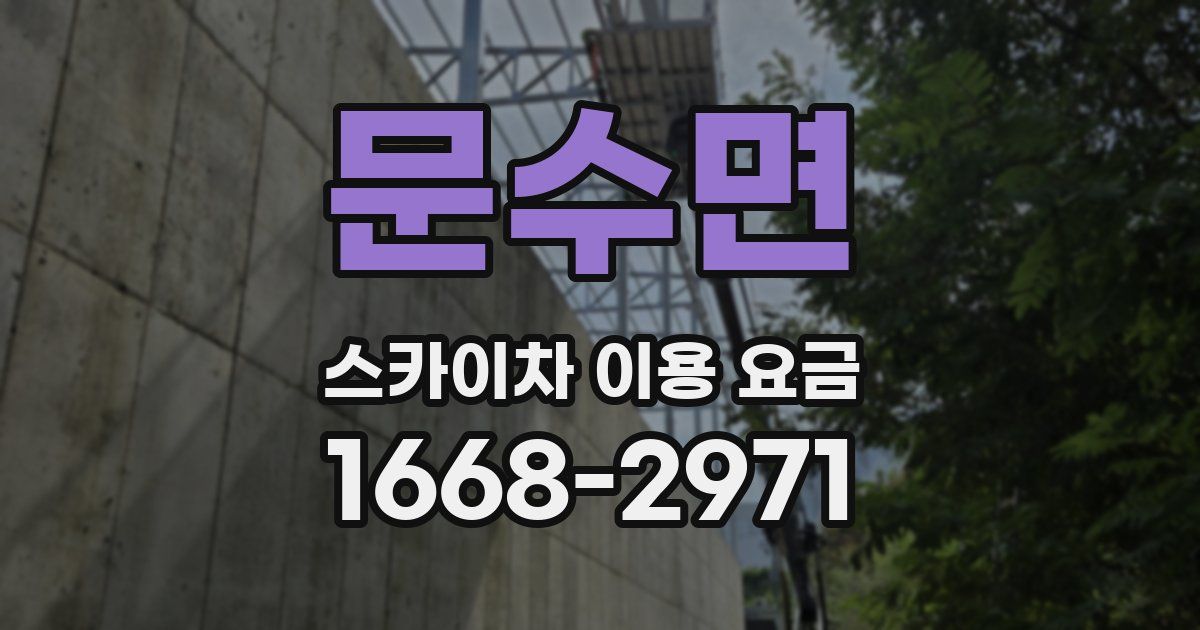 문수면 스카이차 이용 요금