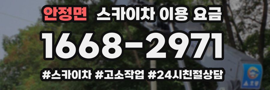 안정면 스카이차 이용 요금