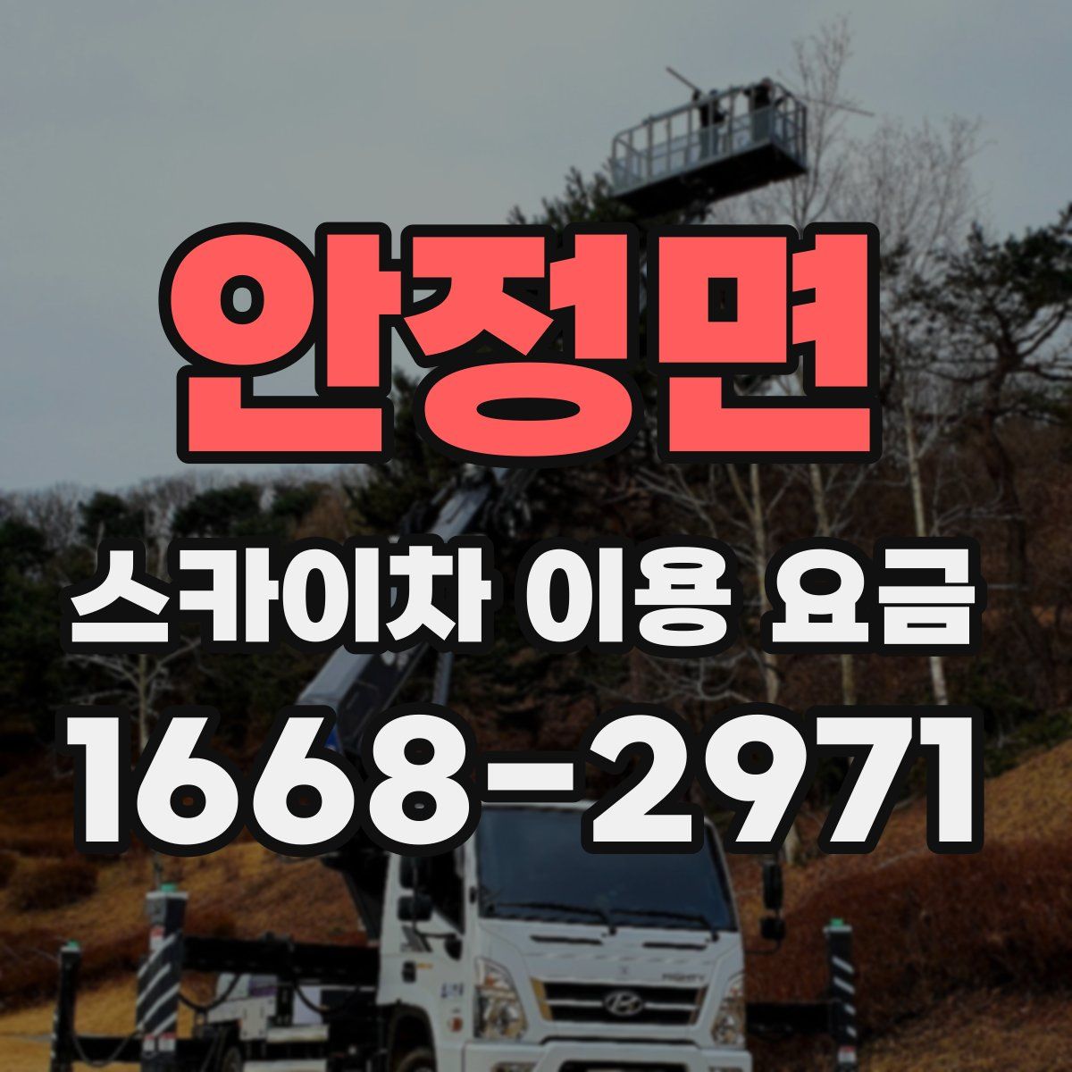 안정면 스카이차 이용 요금