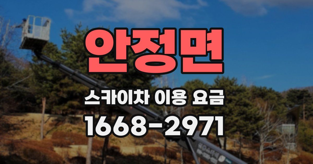 안정면 스카이차 이용 요금