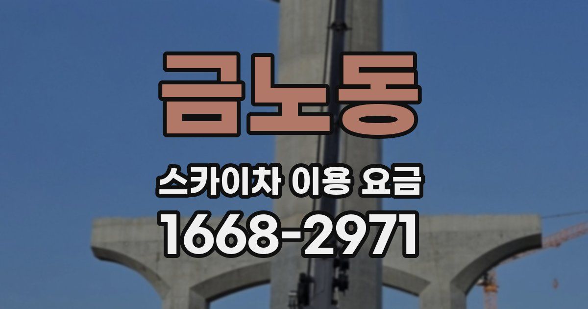 금노동 스카이차 이용 요금
