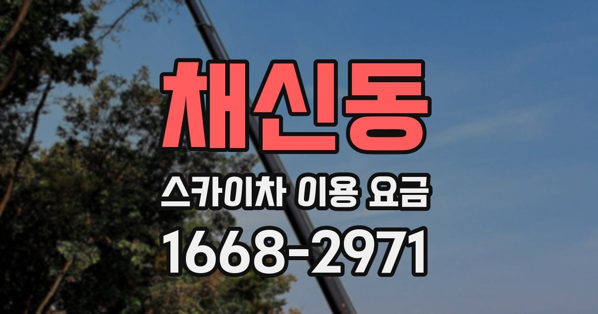 채신동 스카이차 이용 요금