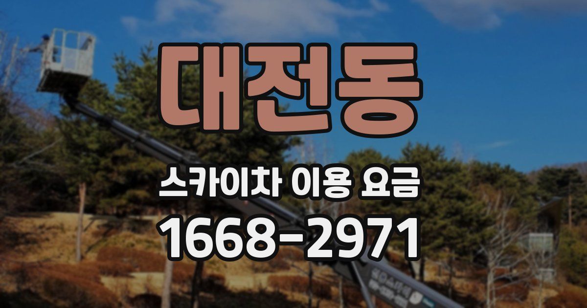 대전동 스카이차 이용 요금