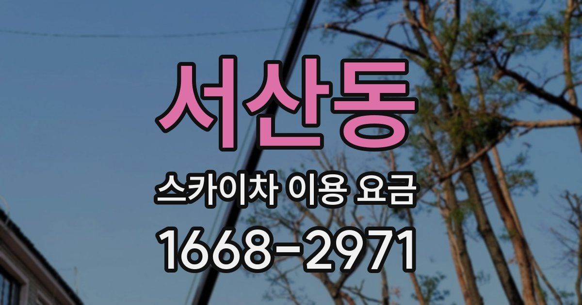 서산동 스카이차 이용 요금