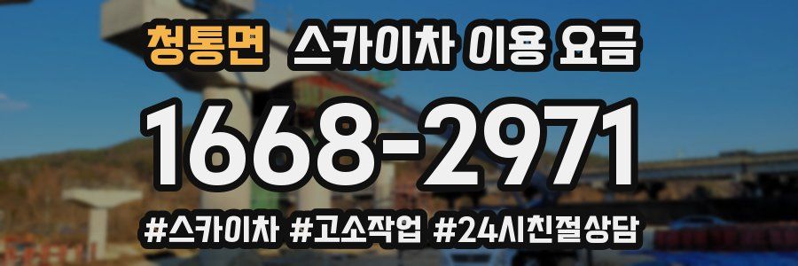 청통면 스카이차 이용 요금