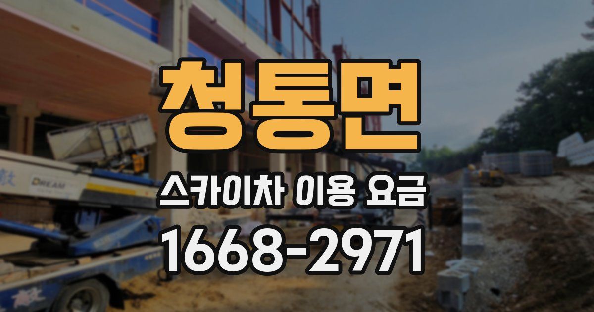 청통면 스카이차 이용 요금