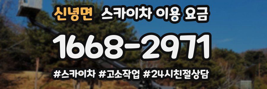 신녕면 스카이차 이용 요금