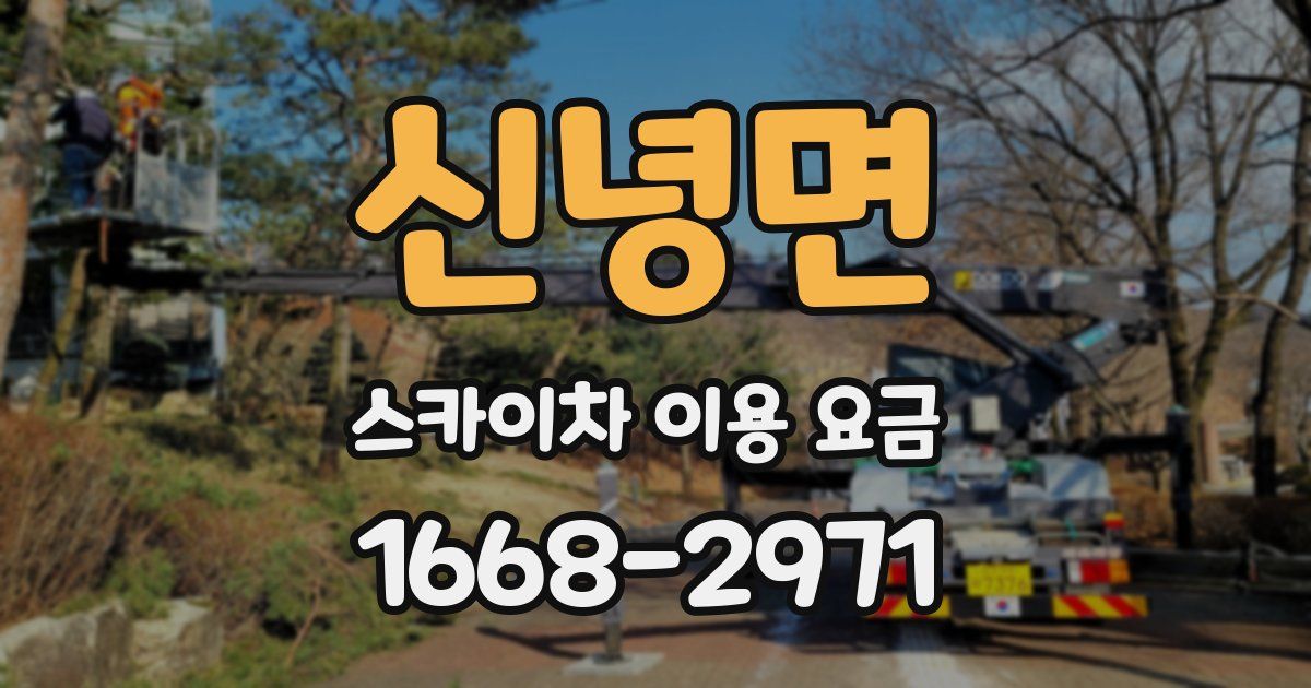 신녕면 스카이차 이용 요금
