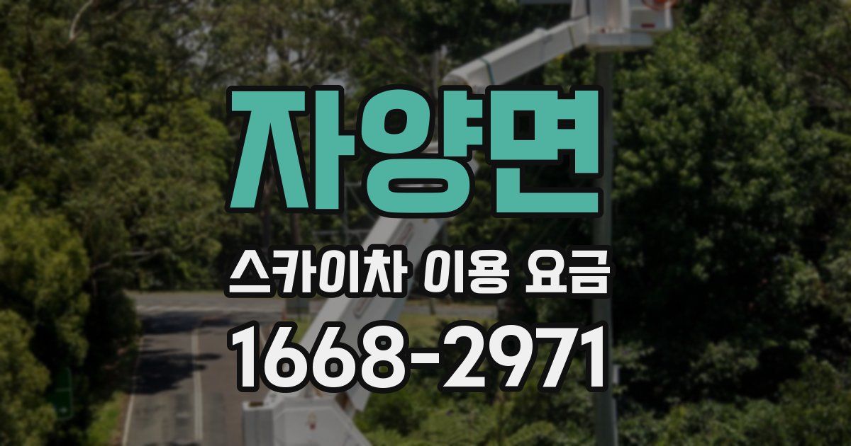 자양면 스카이차 이용 요금