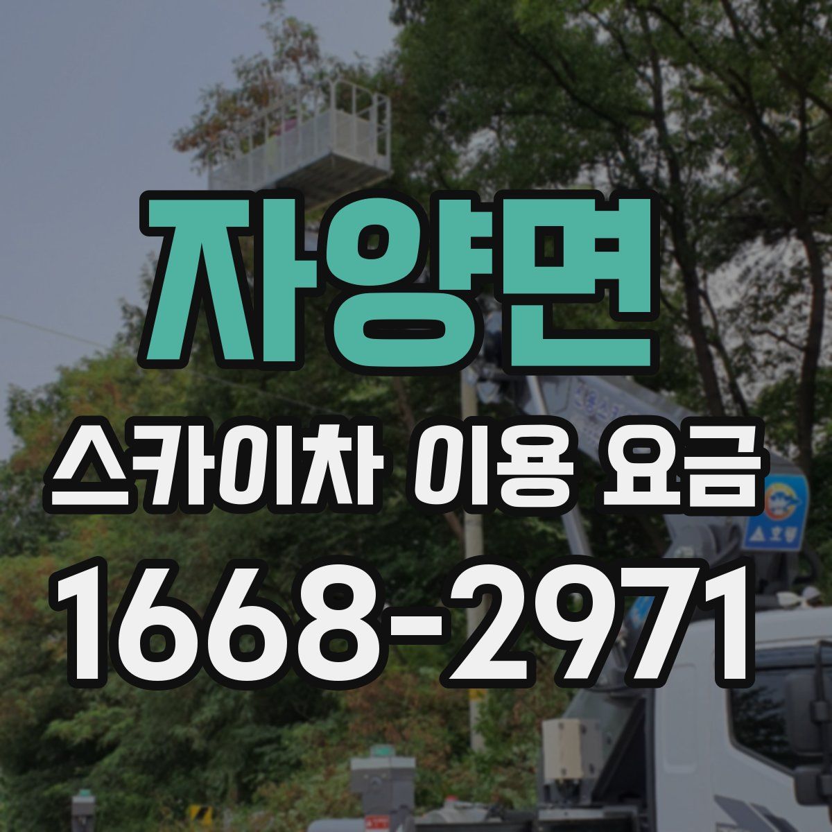 자양면 스카이차 이용 요금