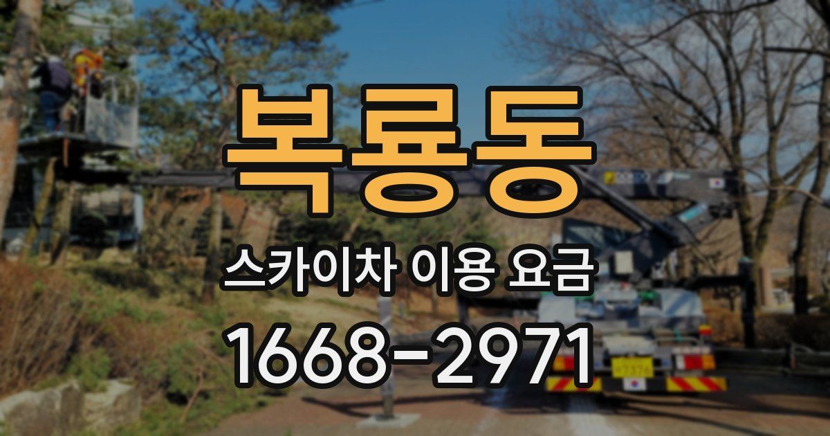 복룡동 스카이차 이용 요금