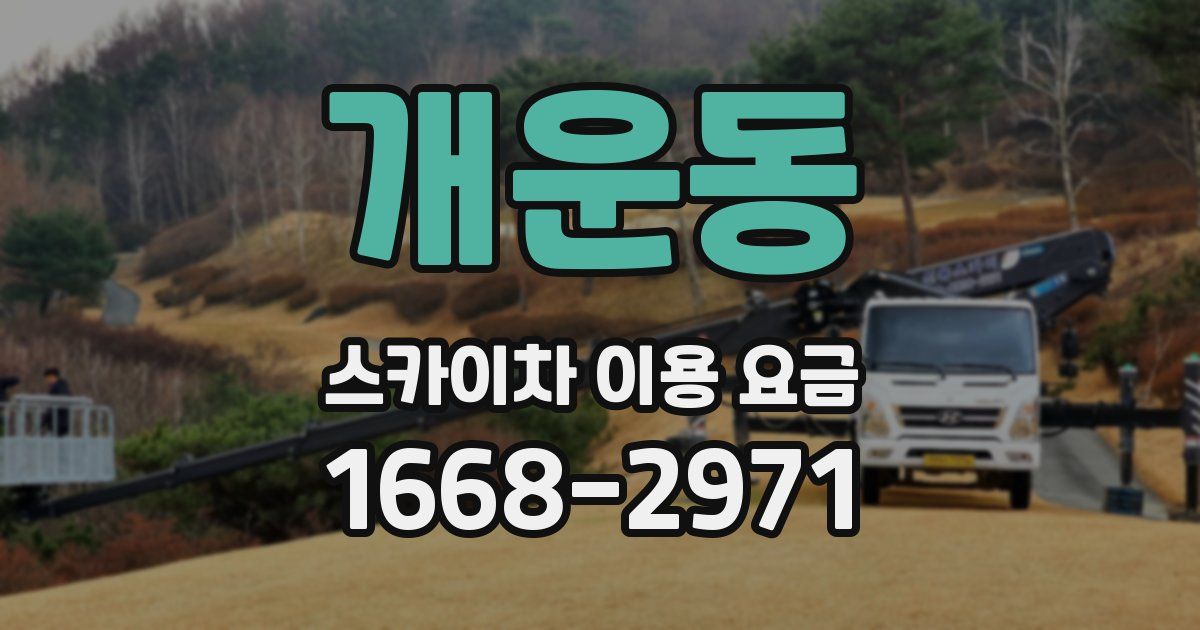 개운동 스카이차 이용 요금