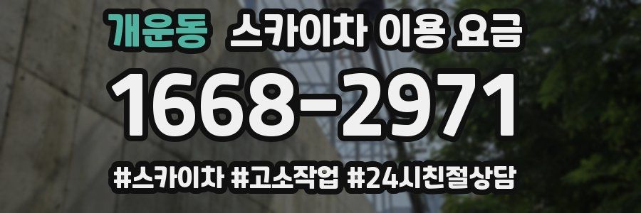 개운동 스카이차 이용 요금