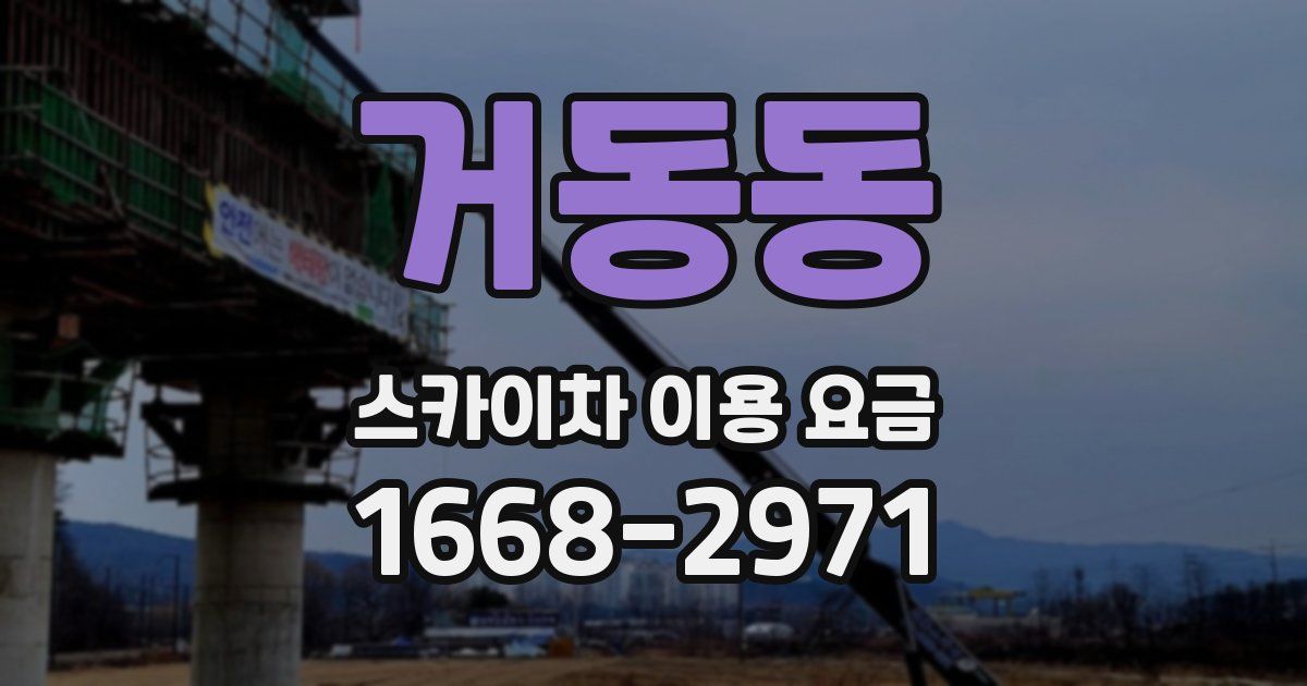 거동동 스카이차 이용 요금