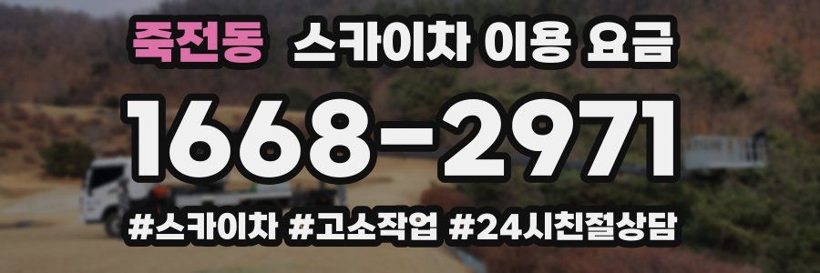 죽전동 스카이차 이용 요금