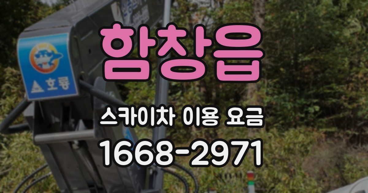 함창읍 스카이차 이용 요금