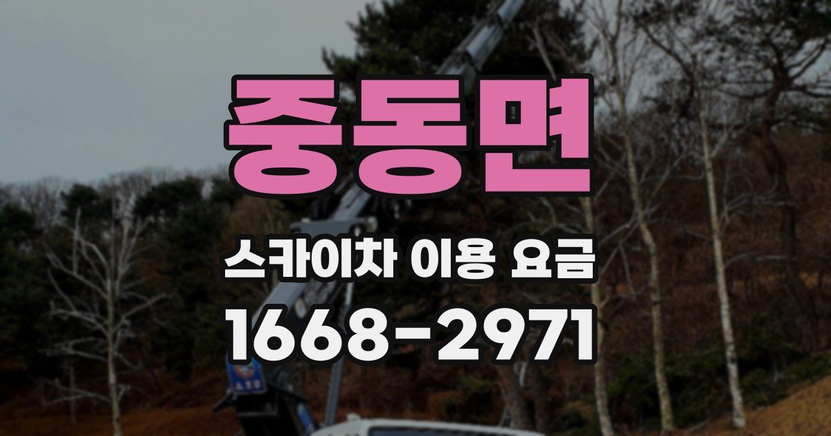중동면 스카이차 이용 요금
