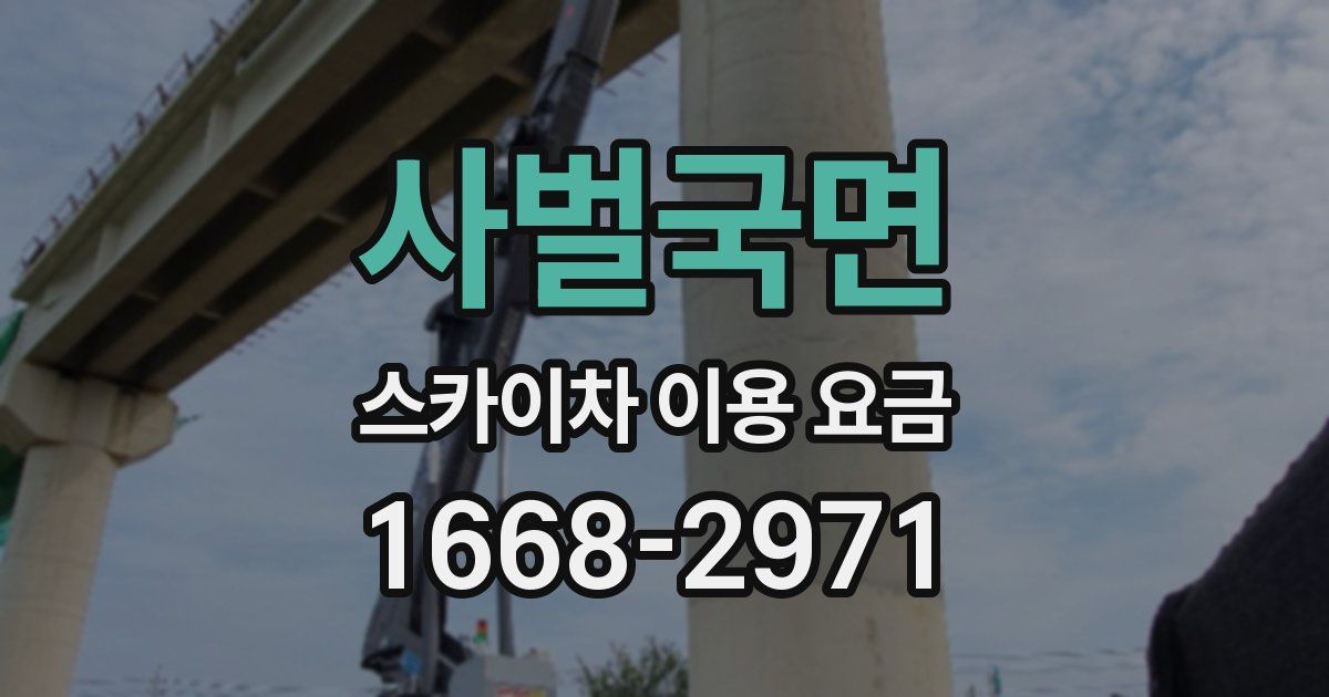 사벌국면 스카이차 이용 요금
