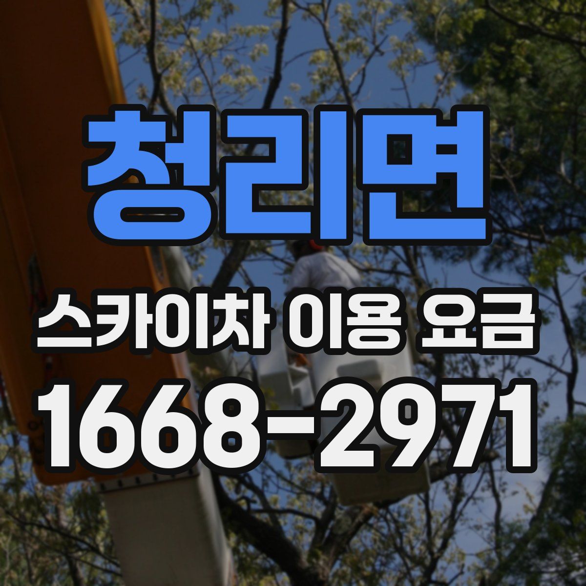 청리면 스카이차 이용 요금