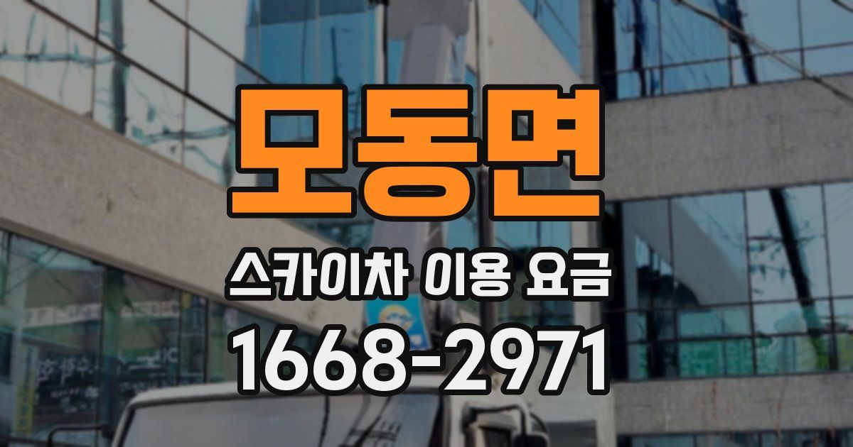 모동면 스카이차 이용 요금